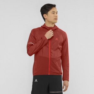 Salomon Agile Wind Laufjacke Herren Rot | 75429-NOLT