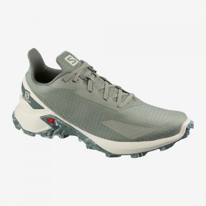 Salomon Alphacross Blast Freizeitschuhe Herren Gray | 13026-AWCD