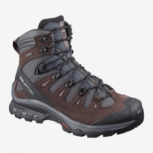 Salomon Quest 4D 3 Gtx W Trekking Damen Gray | 84723-IGTX