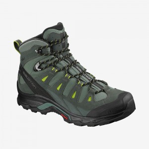 Salomon Quest Prime Gtx Trekking Herren Grün | 24039-VSEH