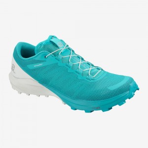 Salomon Sense Pro 4 Trailrunning Schuhe Damen Blau | 57821-ZBLN