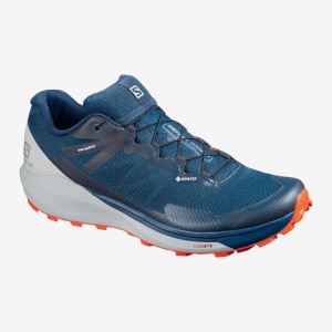 Salomon Sense Ride 3 Gtx Invis. Fit Trailrunning Schuhe Herren Blau | 23406-DHNC