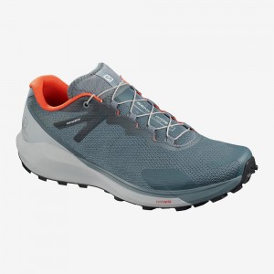 Salomon Sense Ride 3 Trailrunning Schuhe Herren Gray | 38641-SHGI