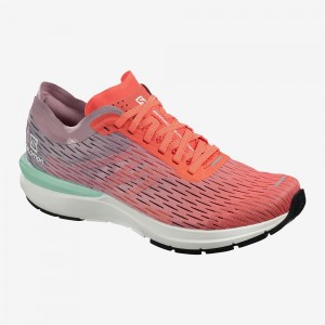 Salomon Sonic 3 Accelerate W Trailrunning Schuhe Damen Orange | 75246-RKAE