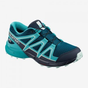 Salomon Speedcross Climasalomon Wasserdichte Trailrunning Schuhe Kinder Blau | 08465-AUEJ