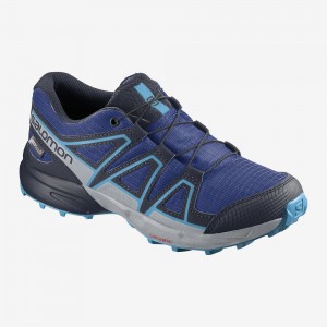 Salomon Speedcross Climasalomon Wasserdichte Trailrunning Schuhe Kinder Navy | 75210-BREI