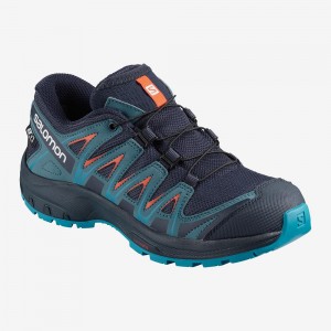 Salomon Xa Pro 3D Cswp J Trailrunning Schuhe Kinder Blau | 64521-IBXY