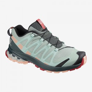 Salomon Xa Pro 3D V8 Trailrunning Schuhe Damen Gray | 47980-HYZG