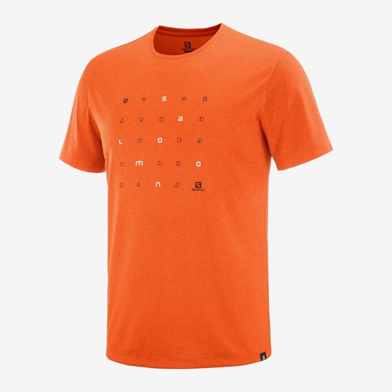 Salomon Agile Graphic Tee M Oberteile Herren Orange | 14852-JSIN