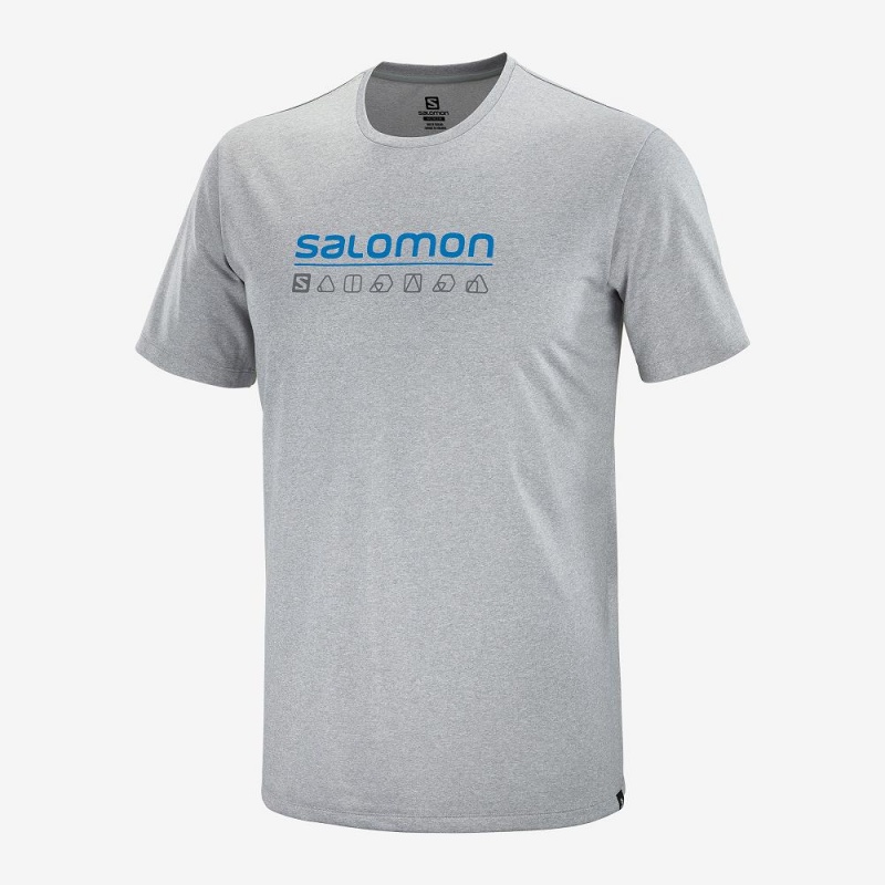 Salomon Agile Graphic Tee M Oberteile Herren Gray | 47819-CIMW