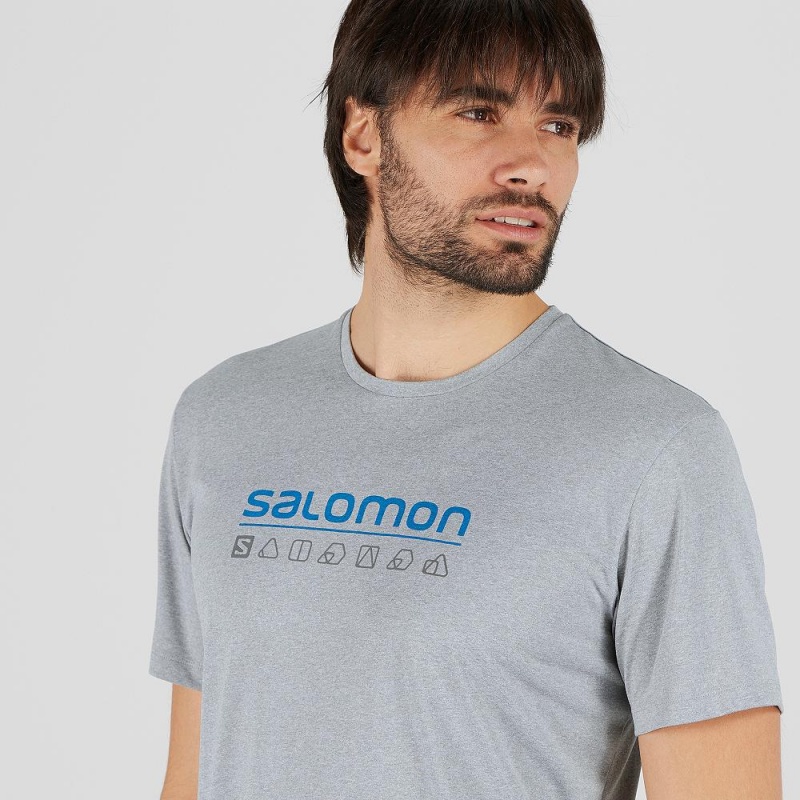 Salomon Agile Graphic Tee M Oberteile Herren Gray | 47819-CIMW