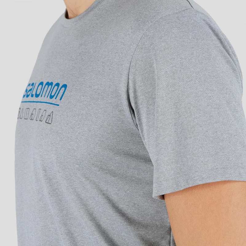 Salomon Agile Graphic Tee M Oberteile Herren Gray | 47819-CIMW