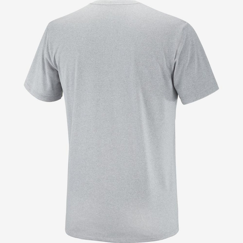 Salomon Agile Graphic Tee M Oberteile Herren Gray | 47819-CIMW