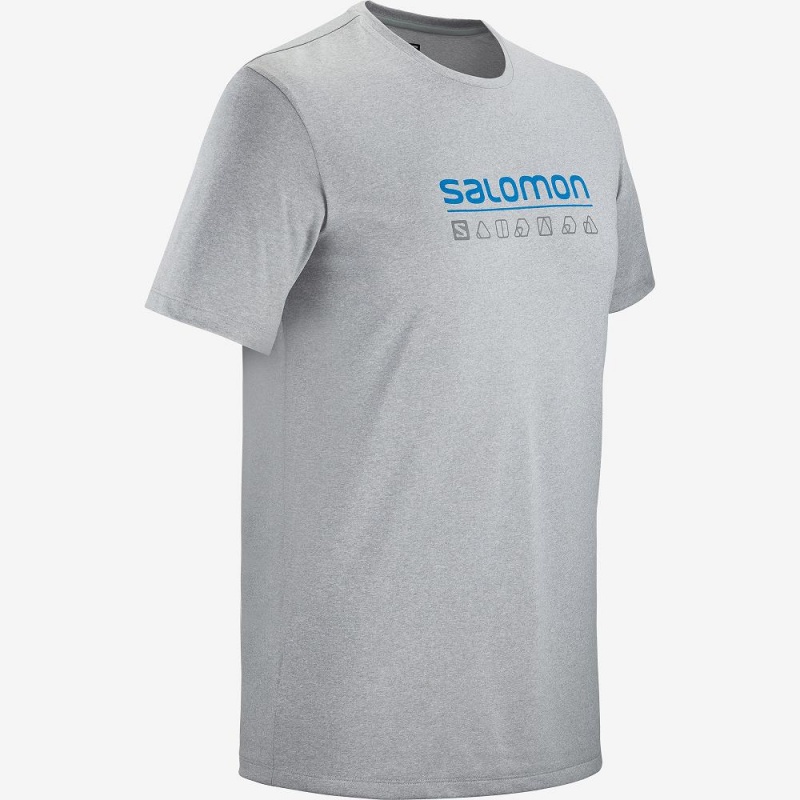 Salomon Agile Graphic Tee M Oberteile Herren Gray | 47819-CIMW