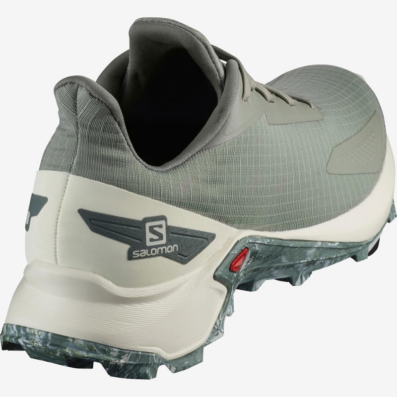 Salomon Alphacross Blast Freizeitschuhe Herren Gray | 13026-AWCD