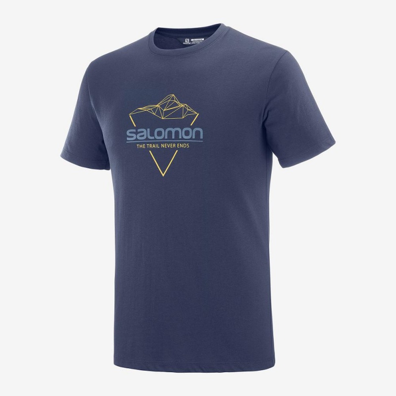 Salomon Blend Logo Tee M T-shirts Herren Navy | 76312-PDLC