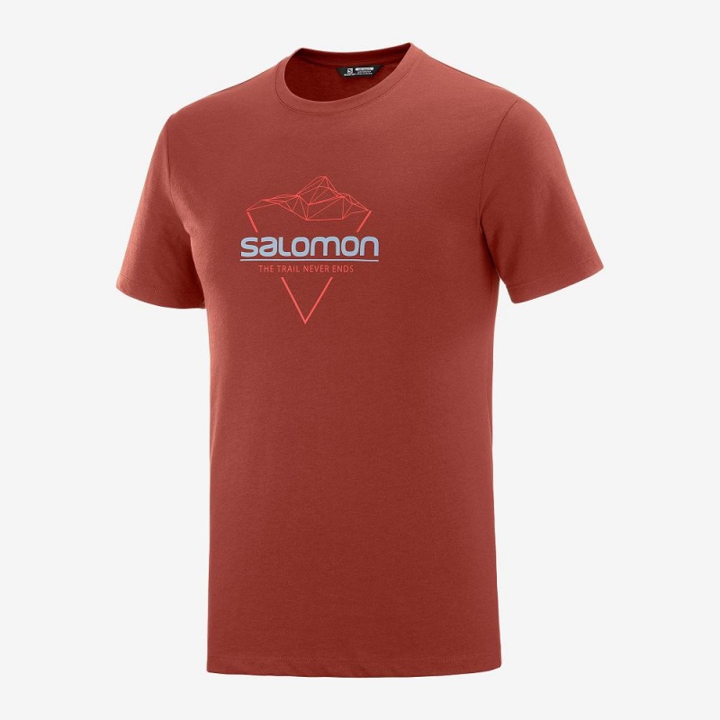 Salomon Blend Logo Tee M T-shirts Herren Rot | 98370-NCUF