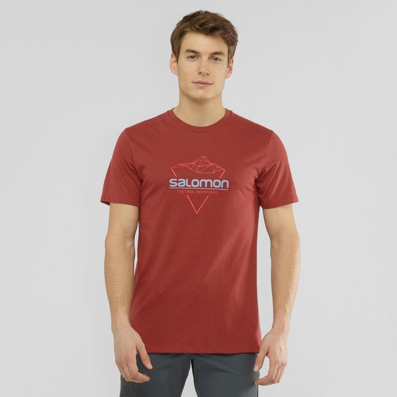 Salomon Blend Logo Tee M T-shirts Herren Rot | 98370-NCUF