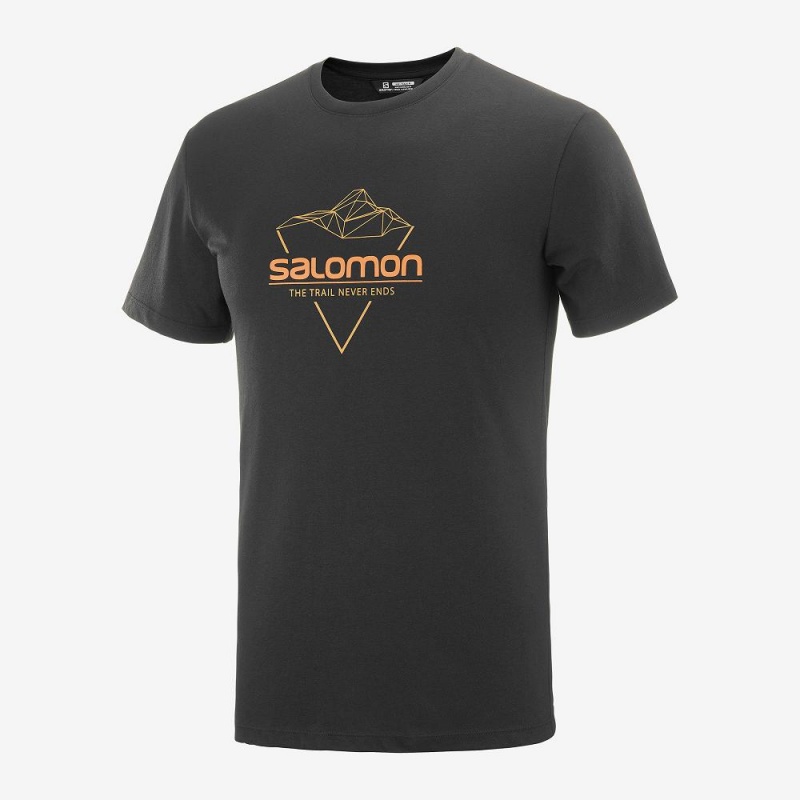 Salomon Blend Logo Tee M T-shirts Herren Schwarz | 84126-RKIQ