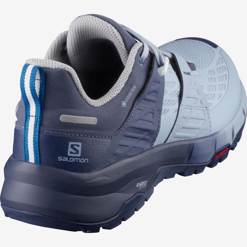 Salomon Odyssey Gtx W Laufschuhe Damen Blau | 68975-KYSR