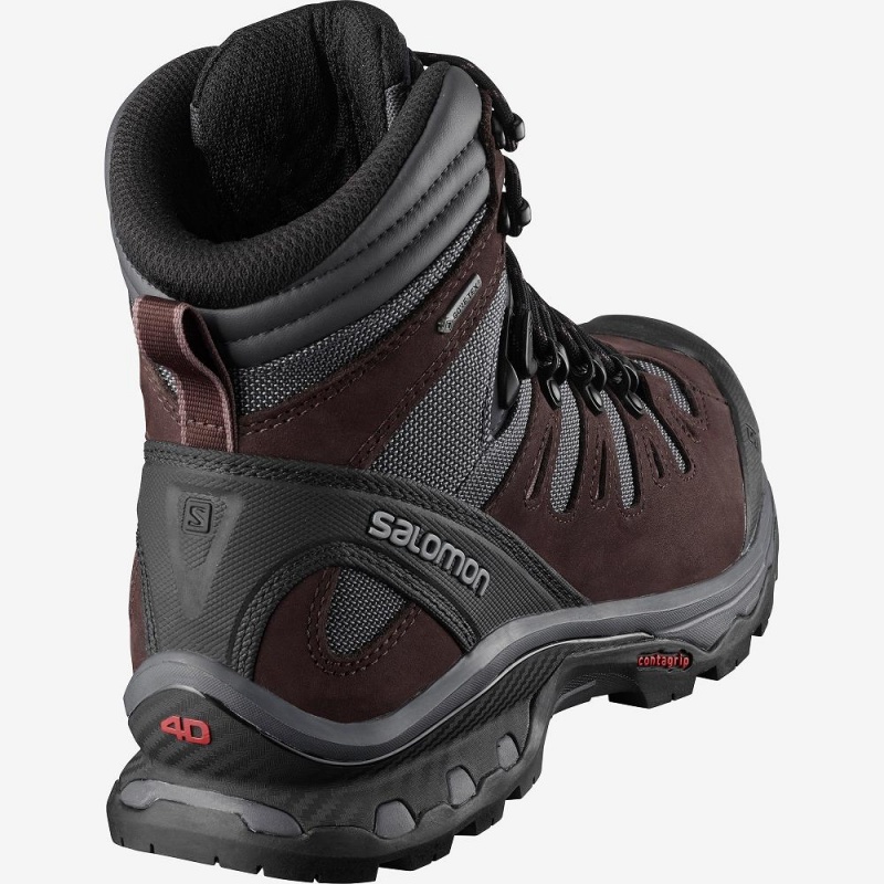 Salomon Quest 4D 3 Gtx W Trekking Damen Gray | 84723-IGTX