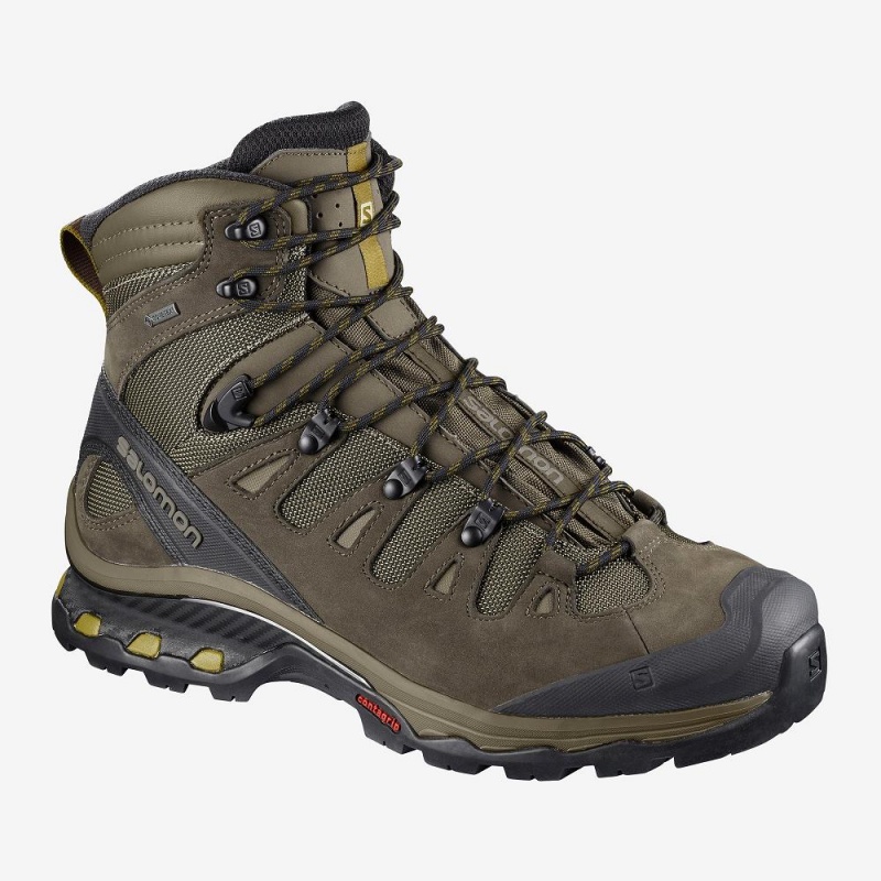 Salomon Quest 4D 3 Gtx Wanderstiefel Herren Braun | 63085-JSRH