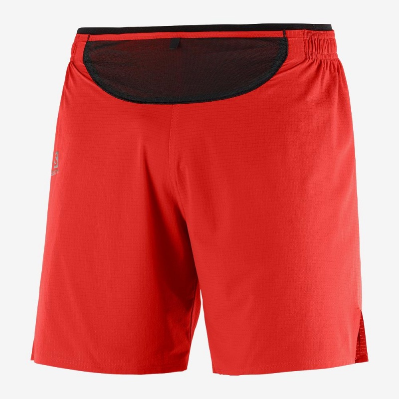 Salomon Sense Kurzes M Kurze Hose Herren Rot | 51879-QDTJ