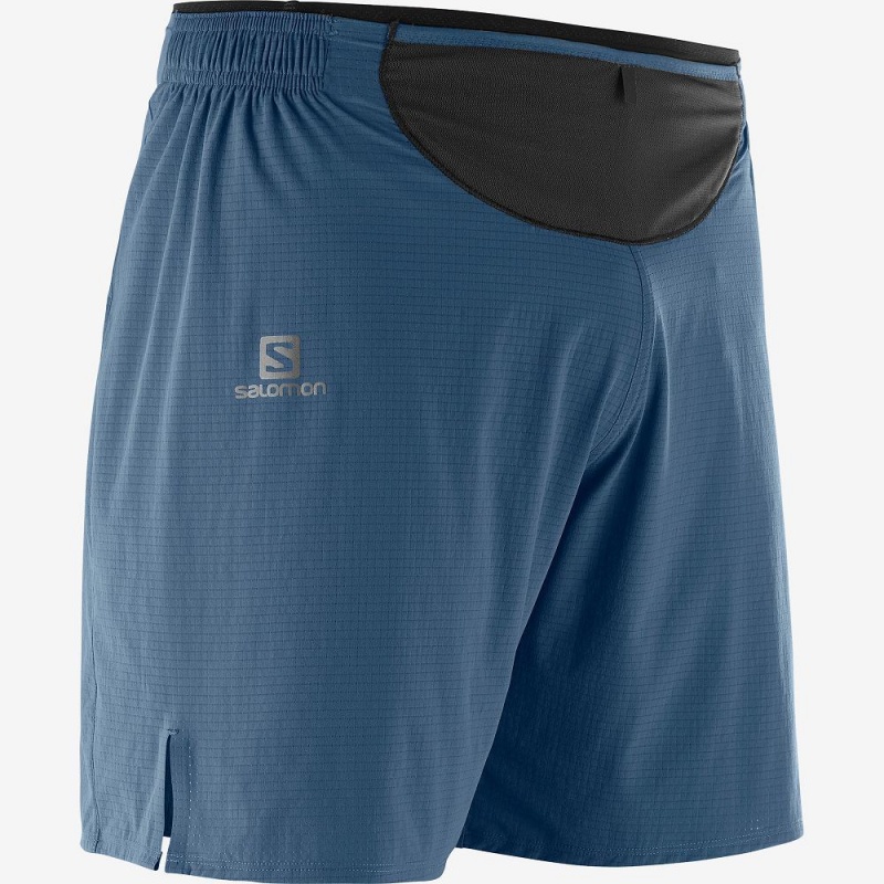 Salomon Sense Kurzes M Kurze Hose Herren Navy | 38702-MHFX