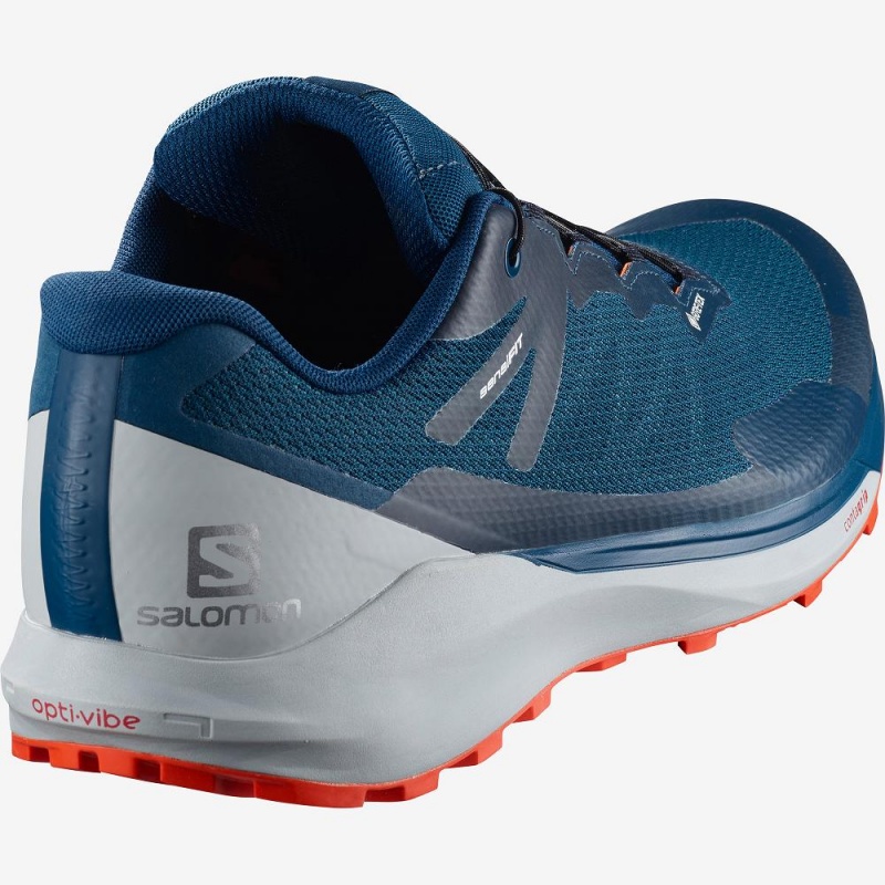 Salomon Sense Ride 3 Gtx Invis. Fit Trailrunning Schuhe Herren Blau | 23406-DHNC