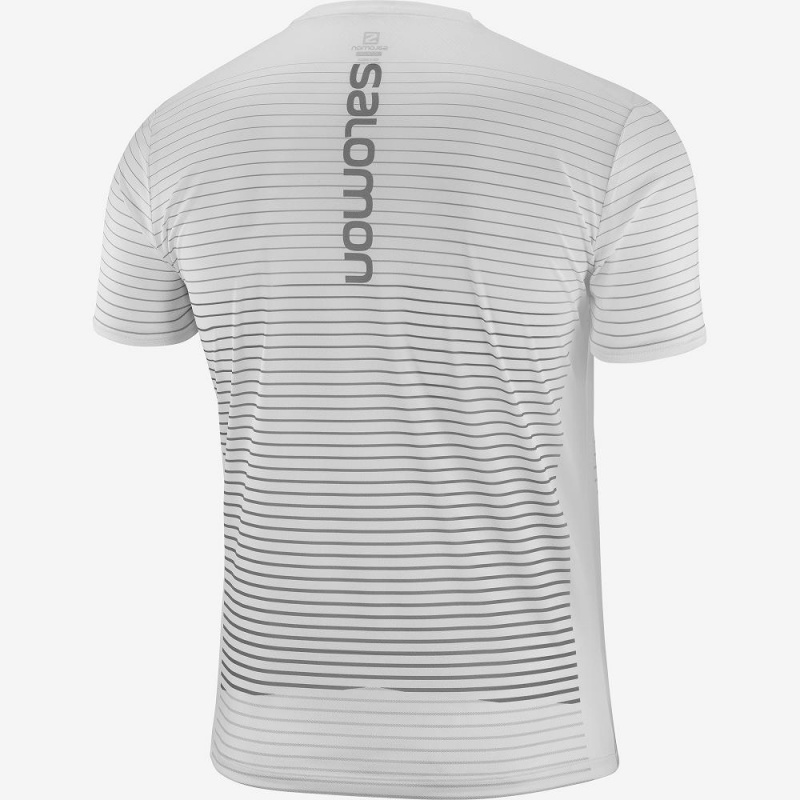 Salomon Sense Tee M Oberteile Herren Weiß | 85723-LIDF