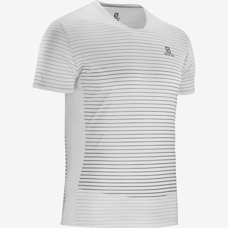 Salomon Sense Tee M Oberteile Herren Weiß | 85723-LIDF