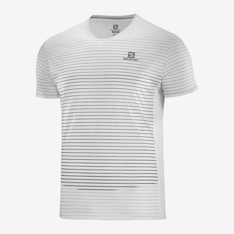 Salomon Sense Tee M Oberteile Herren Weiß | 85723-LIDF