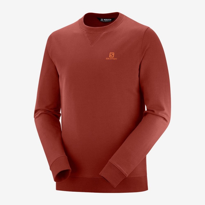 Salomon Shift Crewneck M Pullover Herren Rot | 94287-SCHO