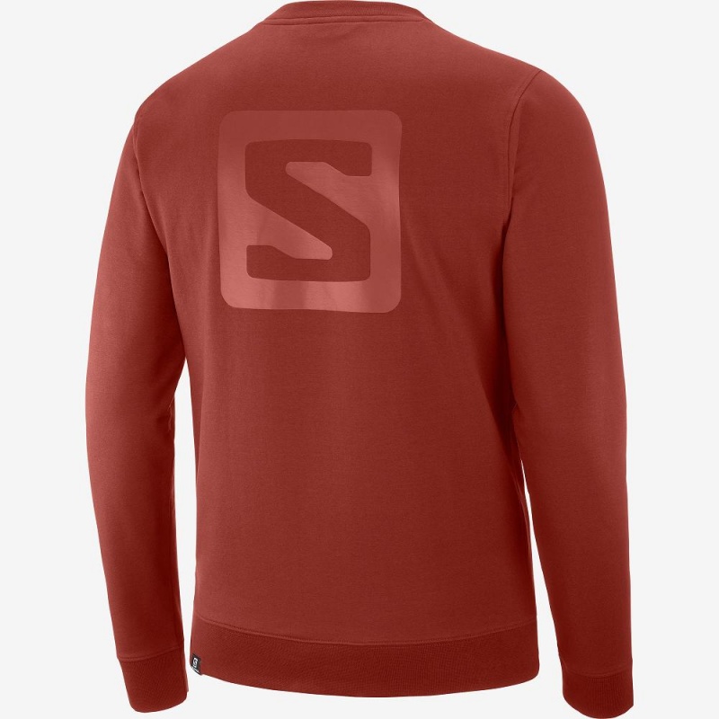 Salomon Shift Crewneck M Pullover Herren Rot | 94287-SCHO