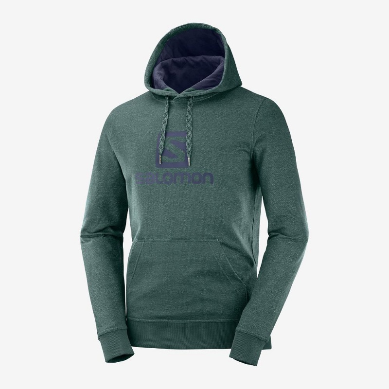 Salomon Shift Hoodie M Hoodie Herren Grün | 53064-PCAM