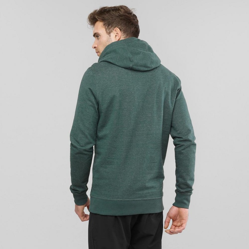 Salomon Shift Hoodie M Hoodie Herren Grün | 53064-PCAM