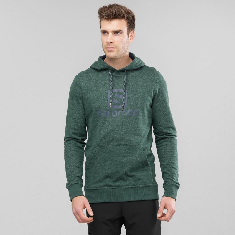 Salomon Shift Hoodie M Hoodie Herren Grün | 53064-PCAM