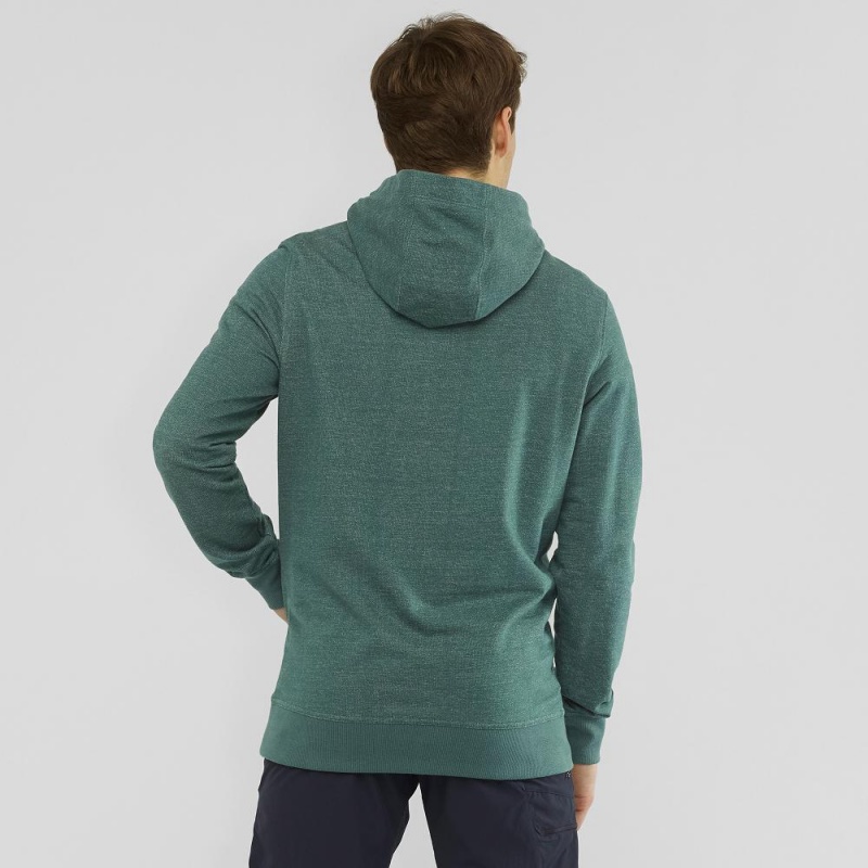 Salomon Shift Hoodie M Hoodie Herren Grün | 38769-RKEM