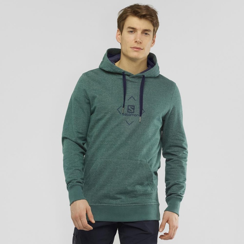 Salomon Shift Hoodie M Hoodie Herren Grün | 38769-RKEM