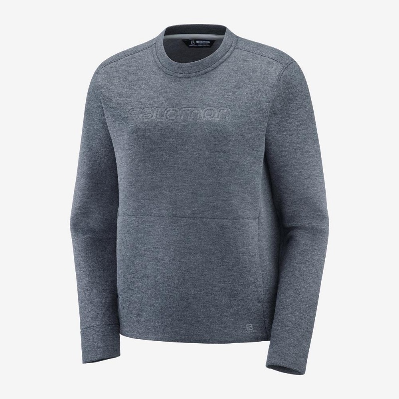 Salomon Sight Crew Neck W Pullover Damen Gray | 23957-YMPT