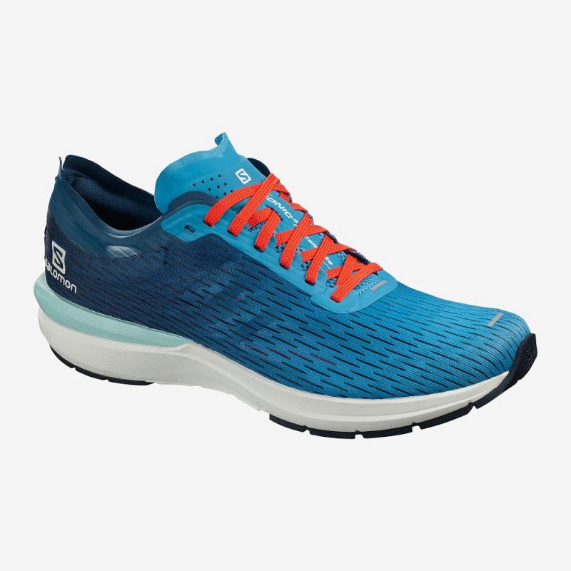 Salomon Sonic 3 Accelerate Laufschuhe Herren Blau | 29675-LWHM