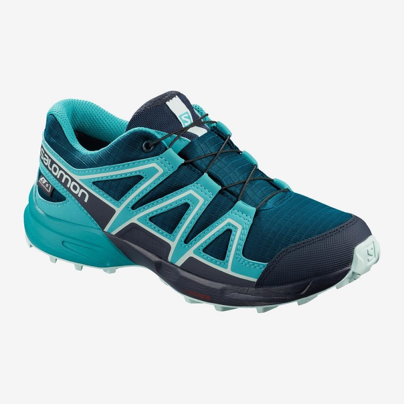 Salomon Speedcross Climasalomon Wasserdichte Trailrunning Schuhe Kinder Blau | 08465-AUEJ