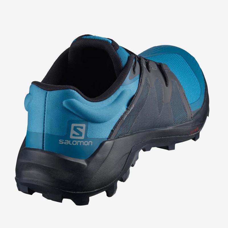 Salomon Wildcross Trailrunning Schuhe Herren Blau | 96157-FNJI