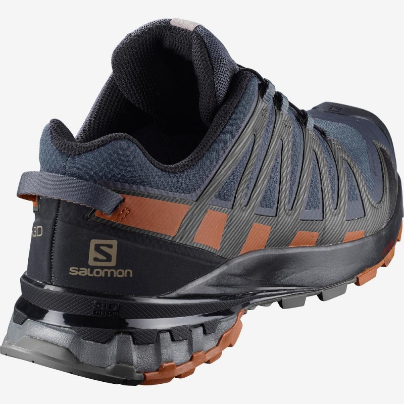 Salomon Xa Pro 3D V8 Gore-Tex Trailrunning Schuhe Herren Gray | 01437-LNIQ