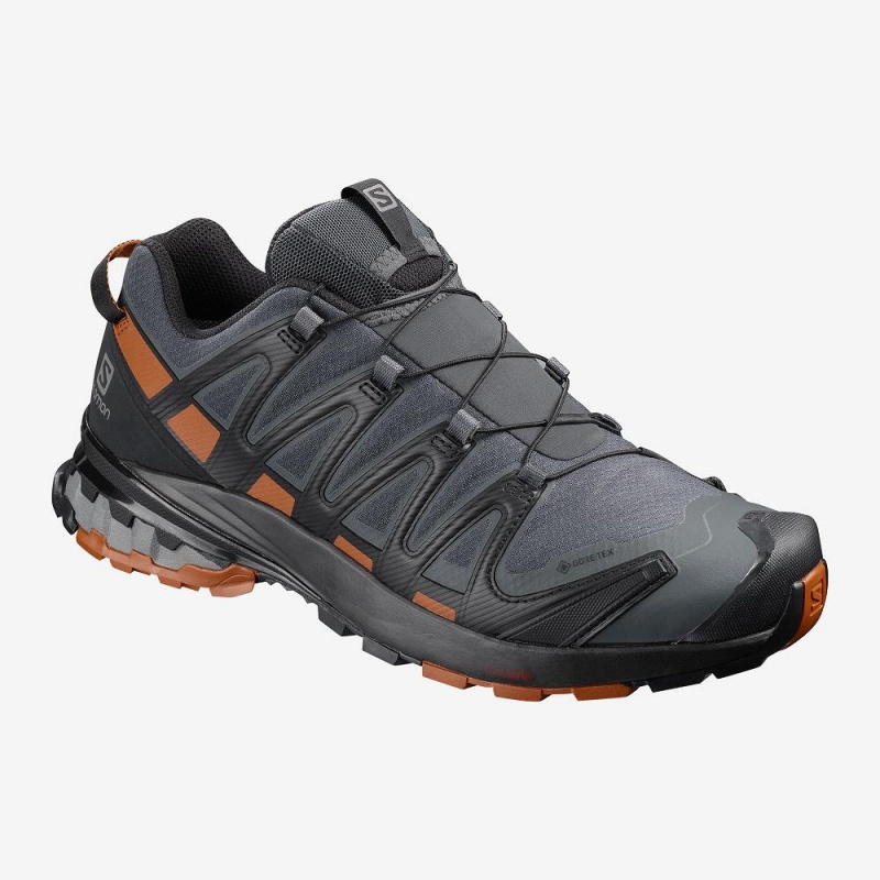 Salomon Xa Pro 3D V8 Gore-Tex Trailrunning Schuhe Herren Gray | 01437-LNIQ